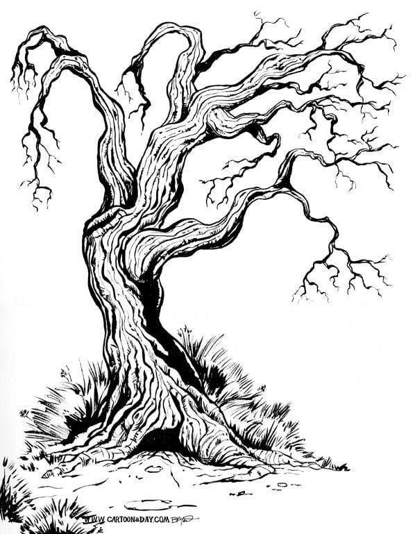 a black and white line drawing of a gnarled, ancient tree with intricate branches and roots. the tree stands alone in a minimalist landscape, creating a sense of loneliness and peace. the drawing is done in a simple, elegant style with detailed line work that emphasizes the texture and shape of the tree.