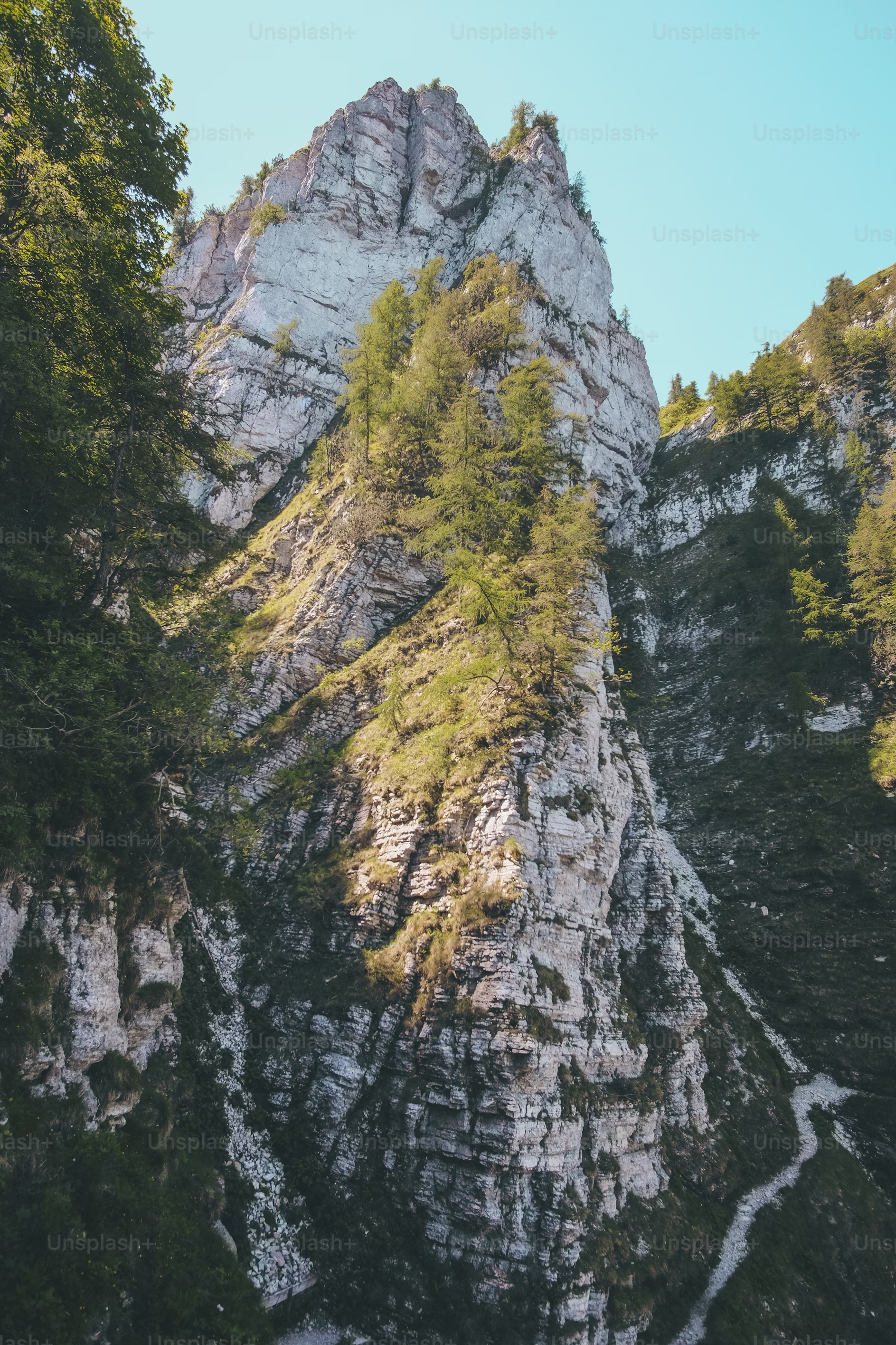 a blurry photo of a tall, rocky cliff face. the cliff is white with green trees and vegetation growing on it. the sky above is blue.