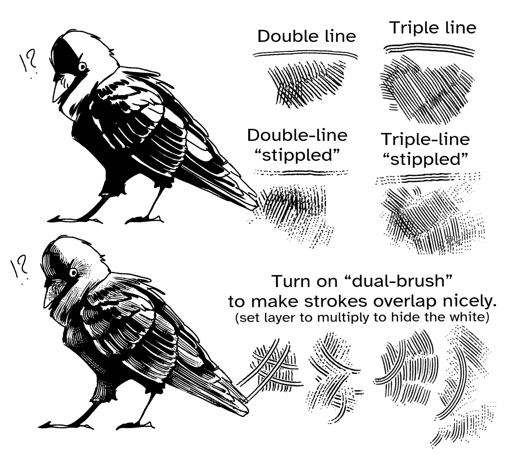 the image is a digital art tutorial demonstrating different drawing techniques using lines and stippling to create texture and shading in a black and white illustration of two crows.  the tutorial shows examples of "double line" and "triple line" stippling, and encourages the use of a "dualbrush" tool to improve stroke overlap.  the process of creating different types of shading with varying line weights and densities is clearly illustrated. the image also shows how to set the layer to multiply to hide any white space.