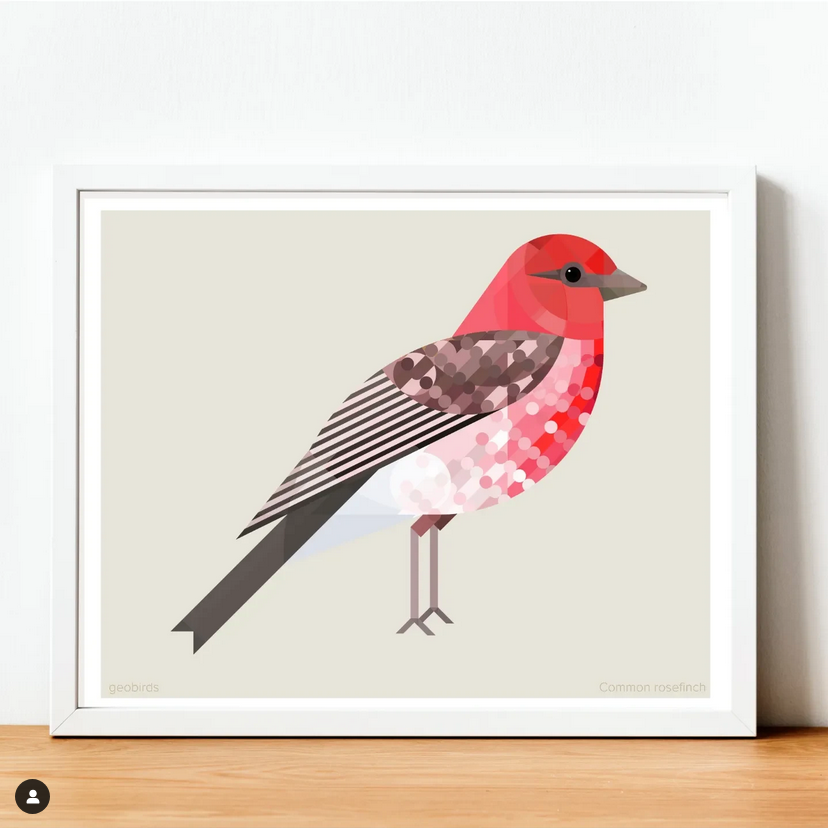 a framed illustration of a common rosefinch, a small bird with red, white, and grey plumage. the illustration is geometric in style, and it is set against a white background. the frame is white and it rests on a wooden floor. the image is wellcomposed and visually appealing.