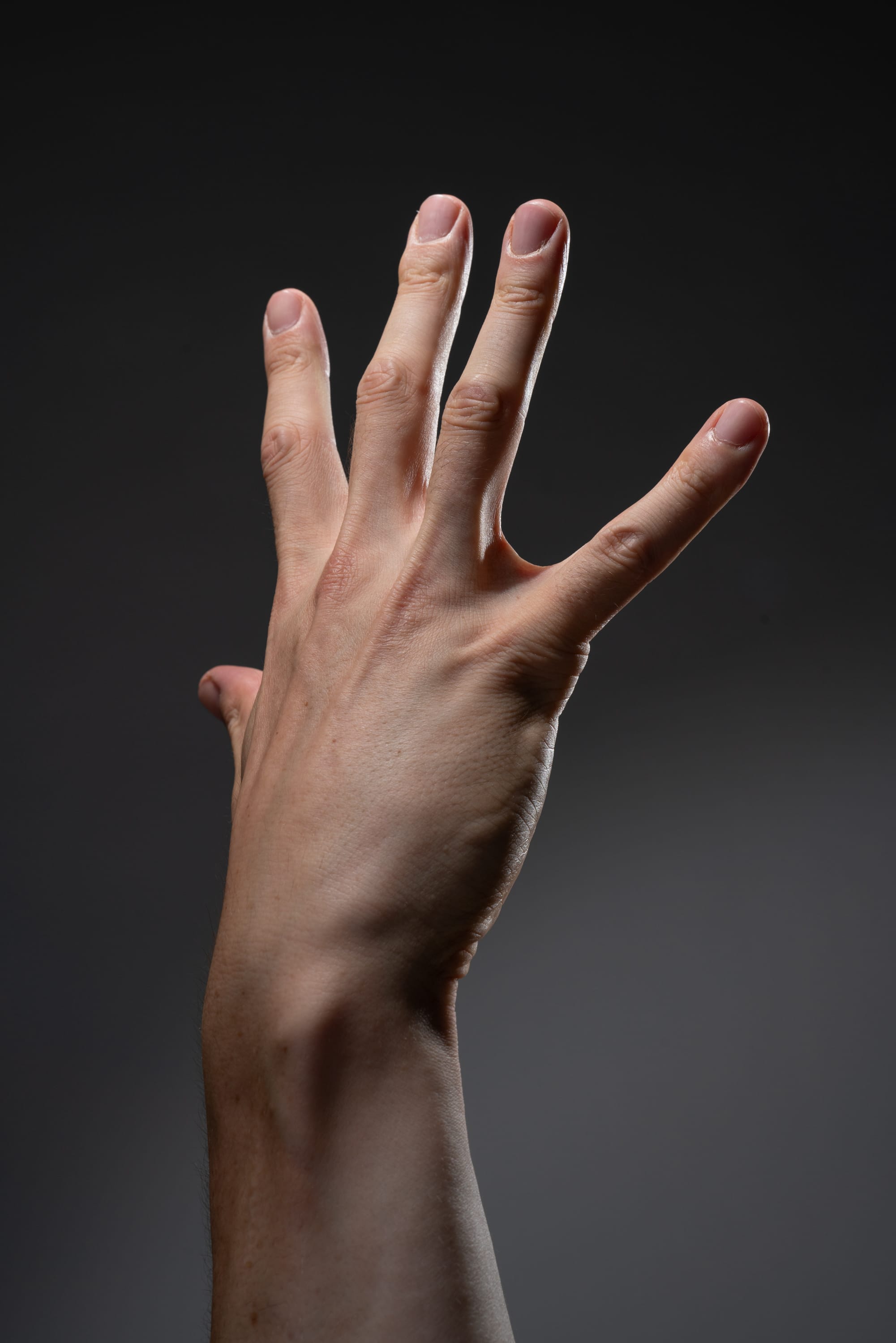 a male caucasian hand is shown with fingers spread against a gray background. the hand is lit with studio lighting to enhance detail and contrast.