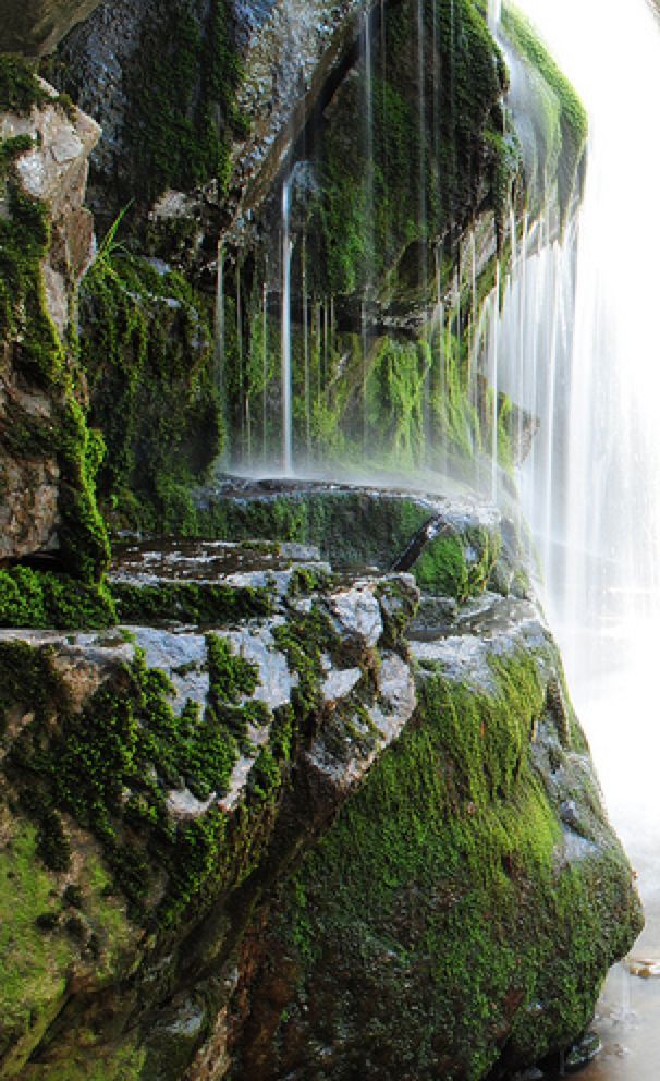 a closeup view of a waterfall cascading over mosscovered rocks. the water is flowing in thin streams and sheets, and the moss is lush and green. the rocks are gray and jagged.