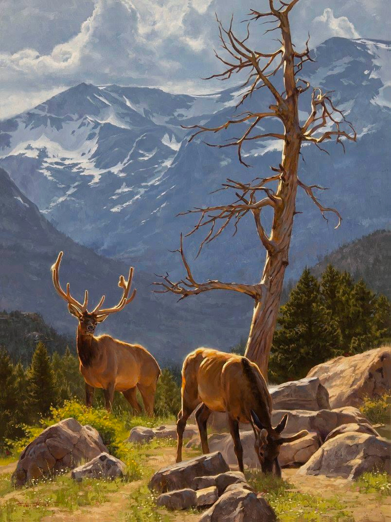 stunning landscape painting depicts two elk, a bull and a cow, grazing peacefully amidst a rocky landscape. the backdrop features majestic, snowcapped mountains under a partly cloudy sky. a tall, dead pine tree stands prominently in the middle ground, adding a touch of contrast to the vibrant scene. the painting's details, including the elk's fur, the textures of the rocks and the foliage, are incredibly realistic, conveying a sense of serenity and the beauty of the american west. the sunlight and shadows add depth and dimension to the artwork, enhancing the overall composition. the style suggests a realistic approach, capturing the natural world with great skill and precision.