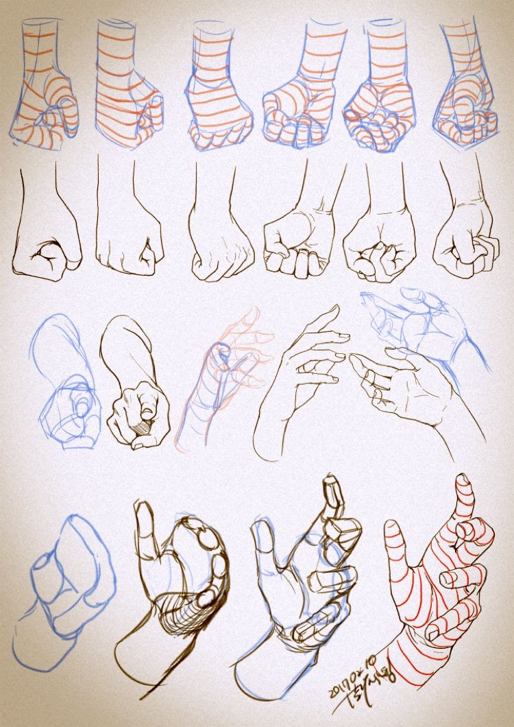 the image showcases a collection of hand drawings in various poses and from different angles. it appears to be an artist's reference sheet or study for understanding hand anatomy and drawing realistic hands. the drawings are done primarily in black ink or pencil with some sketches highlighted in blue. the lines are fluid and confident, indicating a skilled artist. the focus is on capturing the form, structure, and movement of hands rather than fine details or shading.