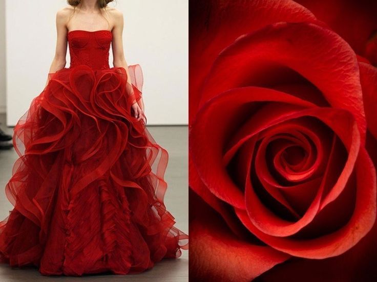 a woman in a beautiful red dress stands on a white background. the dress is made of layered ruffles and is strapless. the woman's hair is pulled back away from her face. on the right side of the image is a closeup of a red rose. the image is a beautiful and romantic depiction of love and passion.