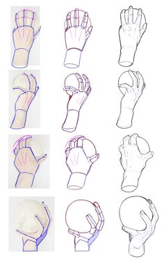 the image shows a stepbystep tutorial on how to draw a hand holding a ball. each step is illustrated with a sketch, starting with basic shapes and gradually adding details. the tutorial shows the hand from different perspectives, including front view and side view.