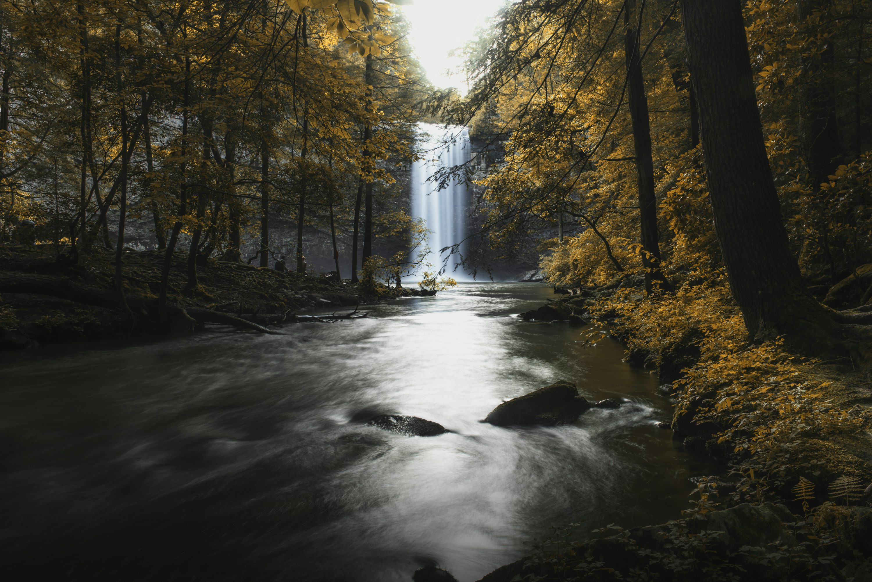 a serene waterfall cascades down a cliff, surrounded by a lush forest. golden leaves adorn the trees, painting a picturesque autumn scene. the river below flows peacefully, its motion blurred by a long exposure. the sunlight filters through the canopy, creating a soft, ethereal glow. this tranquil setting is a testament to the beauty and wonder of nature.