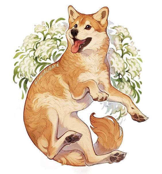 this is a digital illustration of a shiba inu dog. the dog is depicted in a playful pose, lying on its back with its legs in the air, surrounded by stylized white flowers. the dog has a warm, reddishgold coat with white markings on its chest, paws, and face. the illustration style is whimsical and features soft lighting, giving the image a gentle and endearing quality.