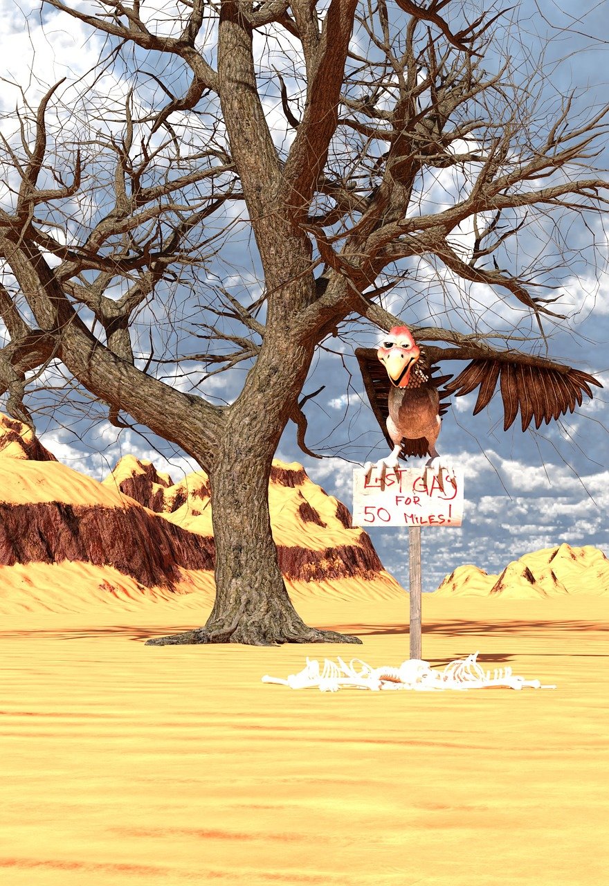 the image depicts a desolate desert landscape dominated by a large, bare tree. a vulture with outstretched wings perches on a wooden sign that reads "last gas for 50 miles!" below the sign, scattered white bones litter the ground. in the background, undulating desert terrain rises towards a sky filled with patchy clouds. the overall scene evokes a sense of isolation, dryness, and dark humor.