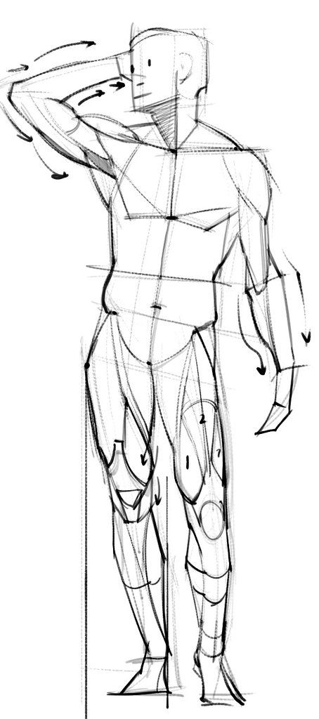 the image is a detailed pencil sketch of a male figure in a dynamic pose. the figure is depicted from a threequarter view, with his left arm raised and bent at the elbow, as if touching his head. his body is slightly turned away from the viewer, emphasizing the threedimensionality of his form. the artist has skillfully used lines to convey the figure's musculature and underlying anatomical structure. the drawing is executed with loose, expressive lines that capture a sense of movement and energy.  there are subtle indications of light and shadow through varied line weight. the overall style is characteristic of a life drawing or anatomy study, focusing on form and gesture.  the artist has included light construction lines to help indicate the underlying structure of the figure.