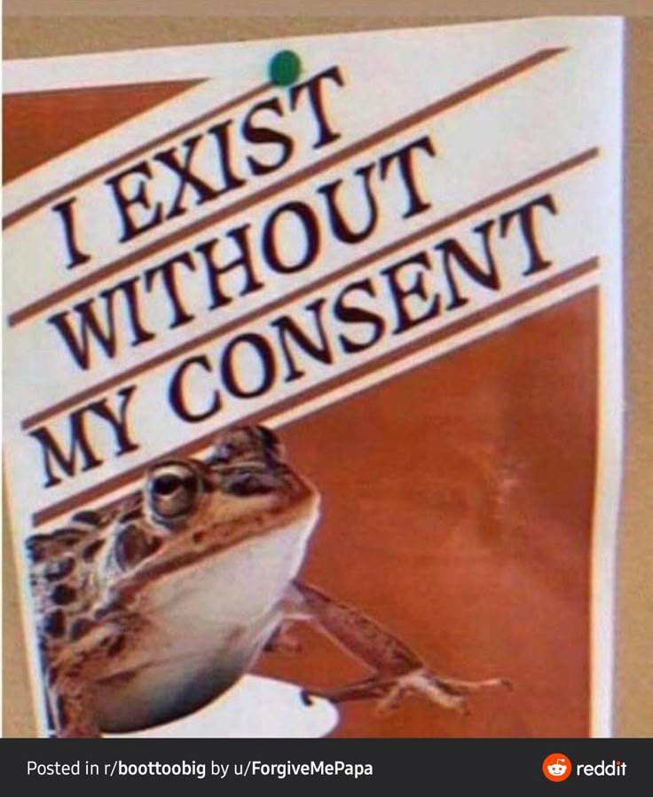the image shows a humorous poster with a frog on it. the poster reads "i exist without my consent" and is pinned to a surface. a reddit watermark at the bottom suggests it's a meme shared on the platform.