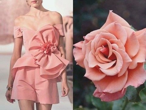 the image is a split image, on the left, a woman is posing for a photo wearing a beautiful pink dress. the dress is made of soft fabric and has a ruffled, tiered design. the woman is wearing her hair straight down and has a natural makeup look. the image on the right shows a delicate, pink rose with a soft, velvety texture, petals are gently folded upon themselves. the rose is a symbol of love, beauty, and romance. both the woman and the rose are beautiful and delicate. the image is a celebration of beauty and femininity.