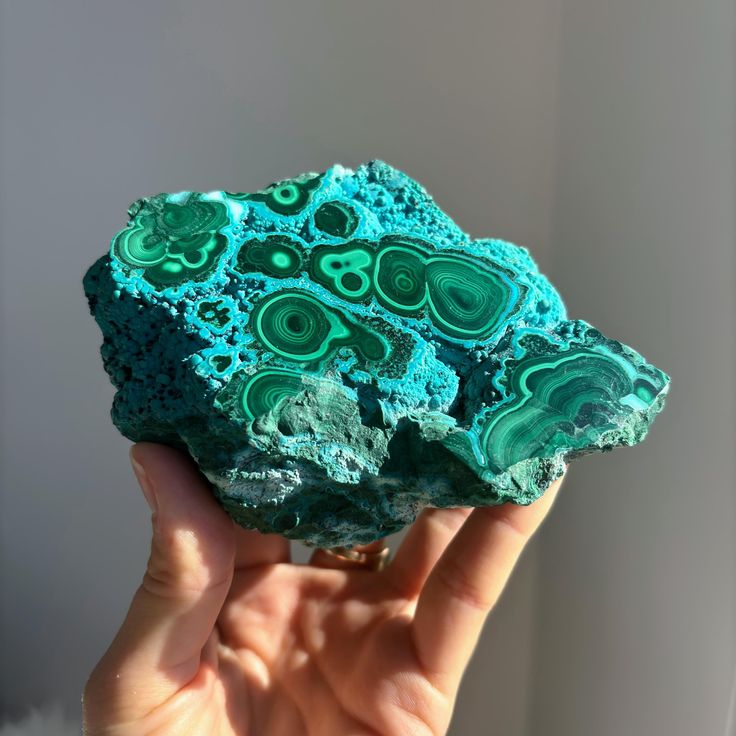 a hand is holding a large specimen of malachite. the malachite is a striking green and teal color with distinctive banded rings and swirling patterns. the top portion is more granular, with smaller, rounded green patterns. the lower portion is smoother, with bolder ring patterns. the background is a neutral gray.