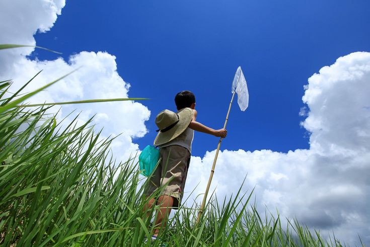 a boy stands in a field of tall green grass under a bright blue sky with fluffy white clouds. he is seen from the back, wearing a lightcolored tank top, khaki shorts, and a straw hat. he holds a butterfly net in his right hand and a green plastic bag hangs from his shoulder. the perspective is looking up at the boy, emphasizing the sky and clouds behind him. the grass is tall and dense, partially obscuring his legs.