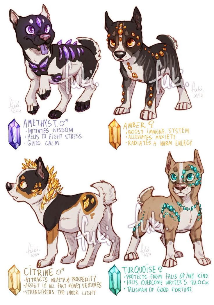 the image is a cartoon illustration featuring four dogs, each associated with a different crystal and its alleged healing properties or attributes. the dogs are named after the crystals: amethyst, amber, citrine, and turquoise. each dog is designed with patterns or adornments that resemble the respective crystal. text accompanies each dog, listing the attributed properties of the crystal, such as initiating wisdom for amethyst or attracting wealth for citrine.