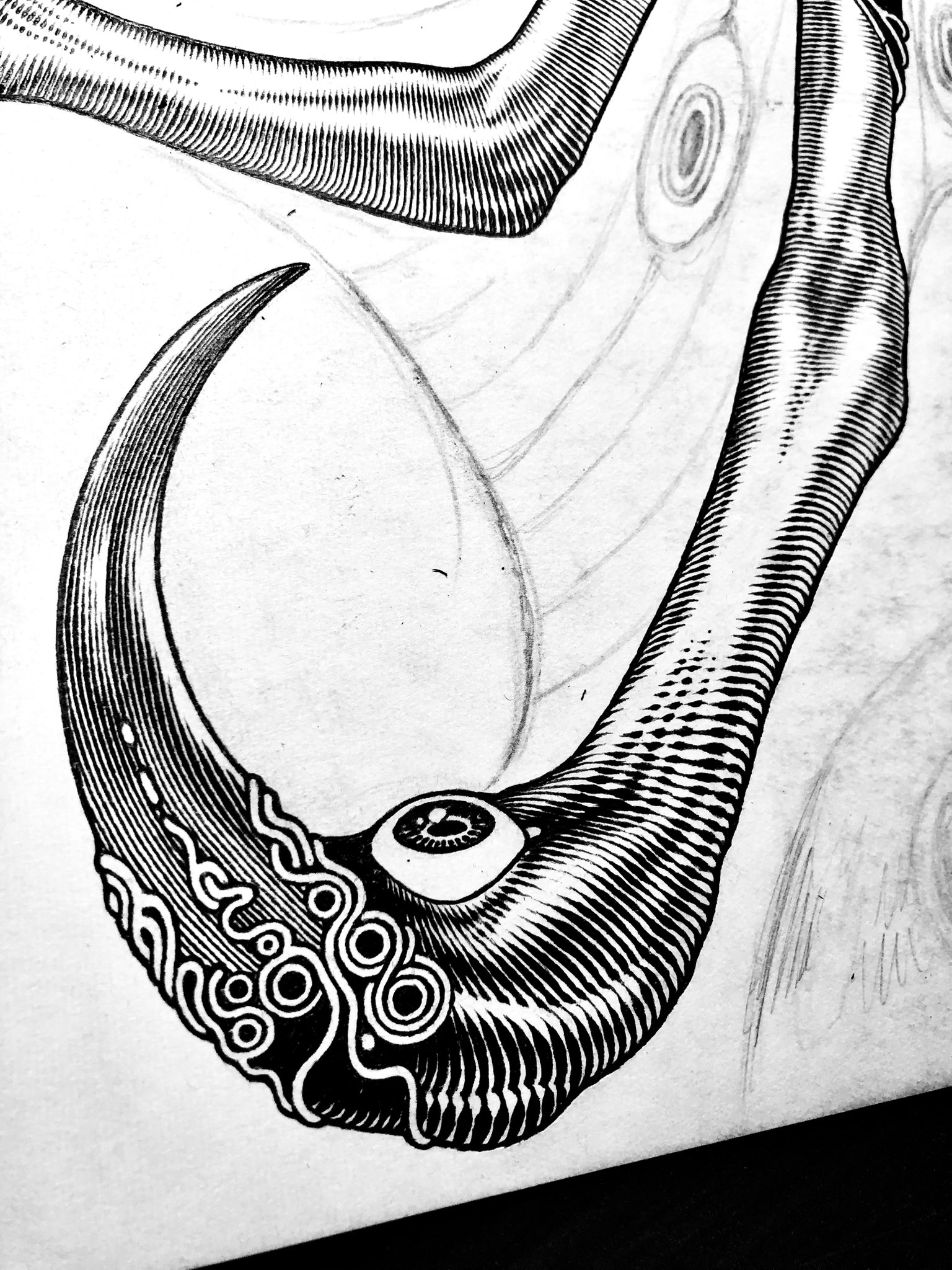 a black and white, closeup illustration of a creature's talon. the talon is long and sharp, with an eye embedded in the joint. the illustration is highly detailed and rendered in ink.  the creature's flesh is covered with organic, flowing patterns.  there is a faint sketch of the rest of the creature's body in the background.