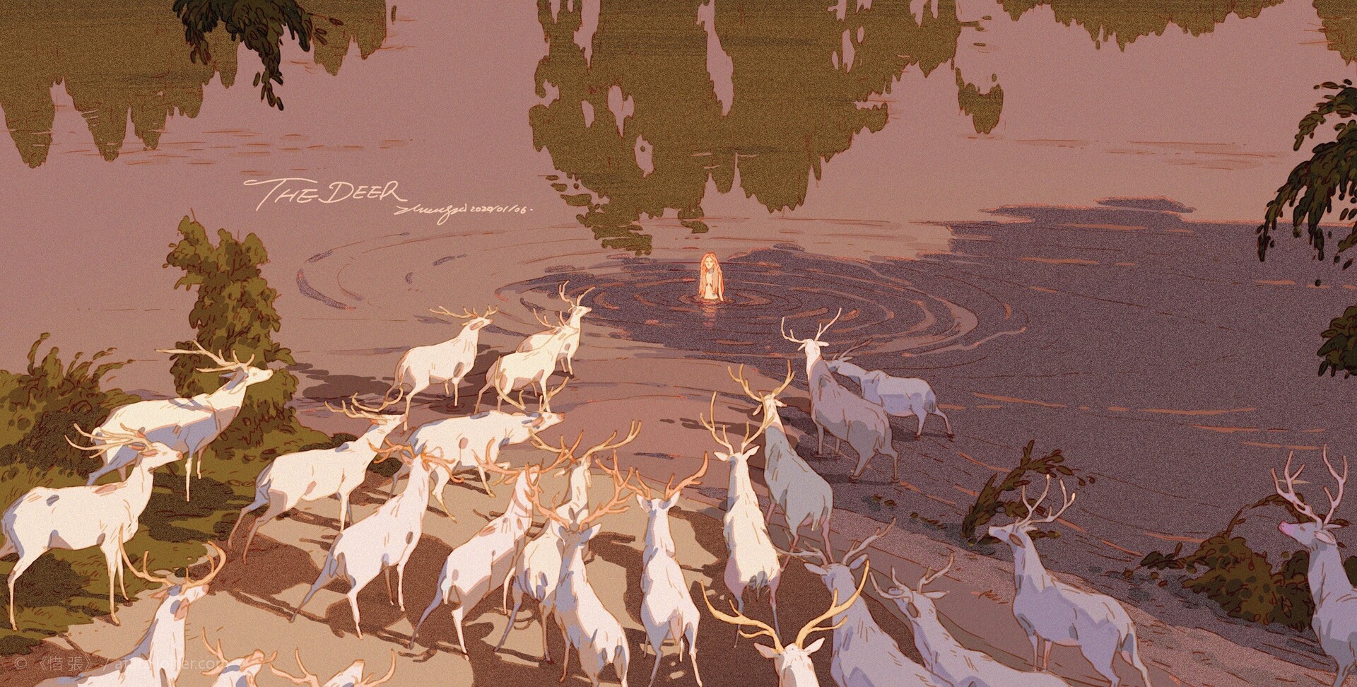 an illustration of a herd of white deer standing by a tranquil lake at sunset. the water is calm and there are ripples from a figure swimming in the middle of the lake. the deer are standing in the shallows of the lake. the background is a soft sunset and the deer have a soft light on them. the deer are all looking at the viewer of the image. the image is soft and serene. it is a beautiful piece of art that captures the beauty of nature.