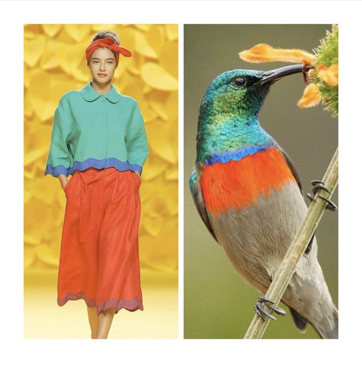 the image features a woman wearing a colorful outfit walking on a yellow runway on the left side of the picture.  the woman is wearing a green shortsleeved top with a blue trim, a red skirt with a blue trim, and a red headband with a bow. on the right side of the image, a colorful bird with a long beak is perched on a branch, looking to the right. the bird has green, red, and blue feathers. the colors in the image are bright and vibrant. the image is a combination of fashion and nature.