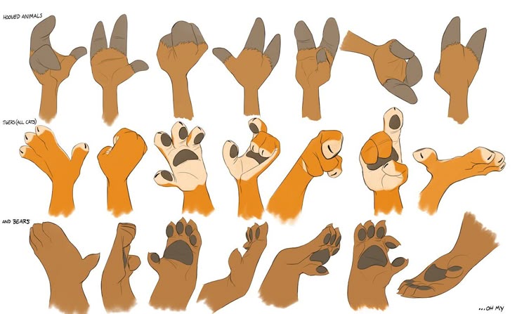 the image is a chart illustrating different paw and hand structures for various animals. it includes hooved animals, tigers and cats, and bears, showcasing the variations in finger/toe count, paw pad arrangement, and overall shape for drawing reference.