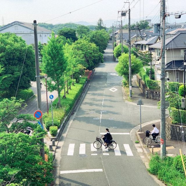 the image shows a street in japan with trees lining both sides. houses are visible on the right side of the street. there are power lines above the street. in the foreground, a girl in a school uniform is riding a bicycle across a pedestrian crossing. a man on a bicycle is stopped on the right side of the street. there are street signs visible on both sides of the street.