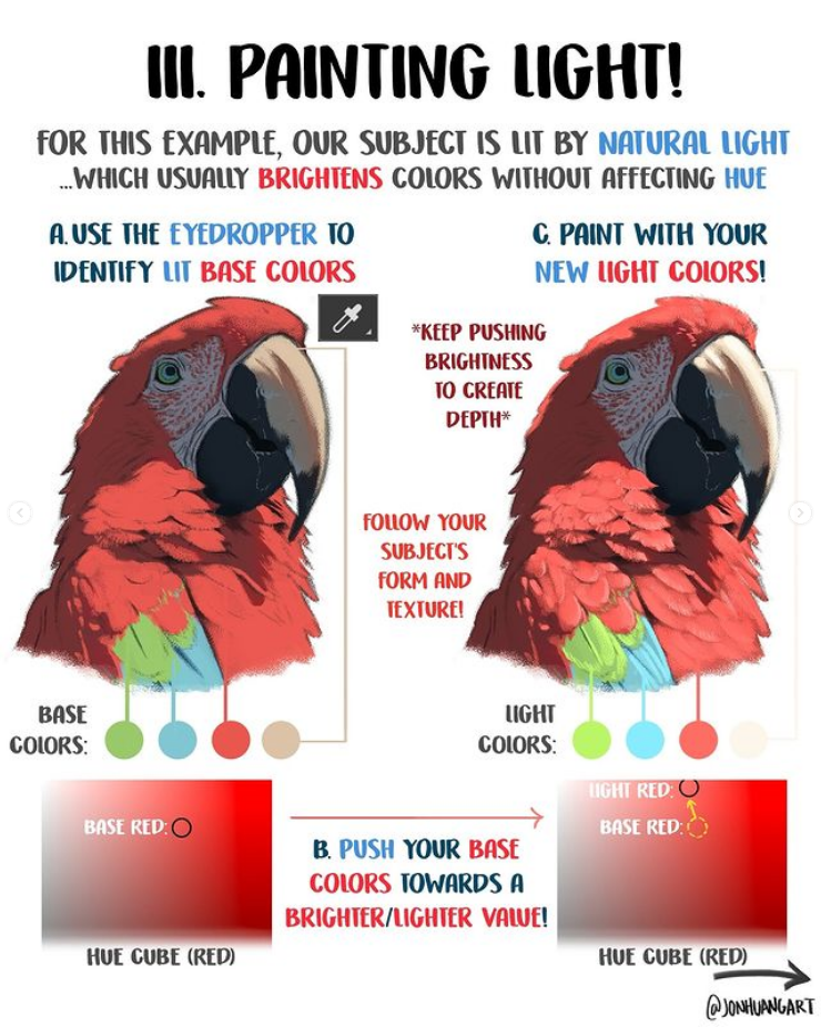 his image is a digital painting tutorial demonstrating how to paint light using natural light as an example.  it uses a macaw as the subject. the tutorial is broken down into three steps: identifying base colors using an eyedropper tool (a), pushing the base colors towards a brighter value (b), and painting with the new, brighter light colors to create depth and follow the form and texture of the subject (c).  the tutorial includes color swatches to illustrate the color shifts and uses a "hue cube" diagram to show the relationship between base and light colors within a specific hue (red, in this case).  the artist's instagram handle is included at the bottom.