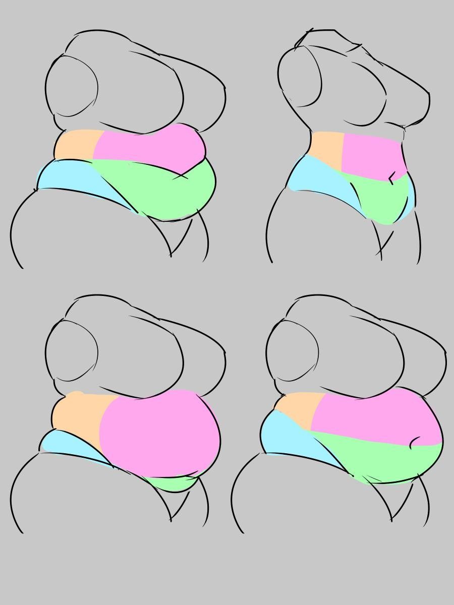 the image showcases four sketches of a female figure in various states of weight gain, focusing on the distribution of body fat, particularly in the abdominal area. each sketch highlights the changes in body shape and size through different colored sections.