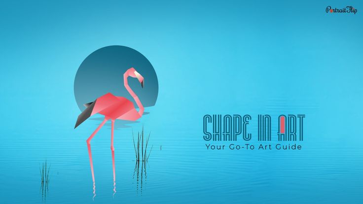 a digital illustration of a pink flamingo standing in a lake. the water is a light blue, with a semicircle of a darker blue in the background. the flamingo's legs are long, and the bird's neck is curved, creating a graceful silhouette. the word "shape" is written across the top of the image, and the word "art" is written below. "your goto art guide" is below that in a smaller font.
