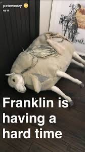 a stuffed sheep toy named "franklin" is lying on its side on a wooden floor, looking tired and exhausted. the caption reads "franklin is having a hard time." the photo is likely a meme, playing on the relatable experience of feeling tired and struggling.