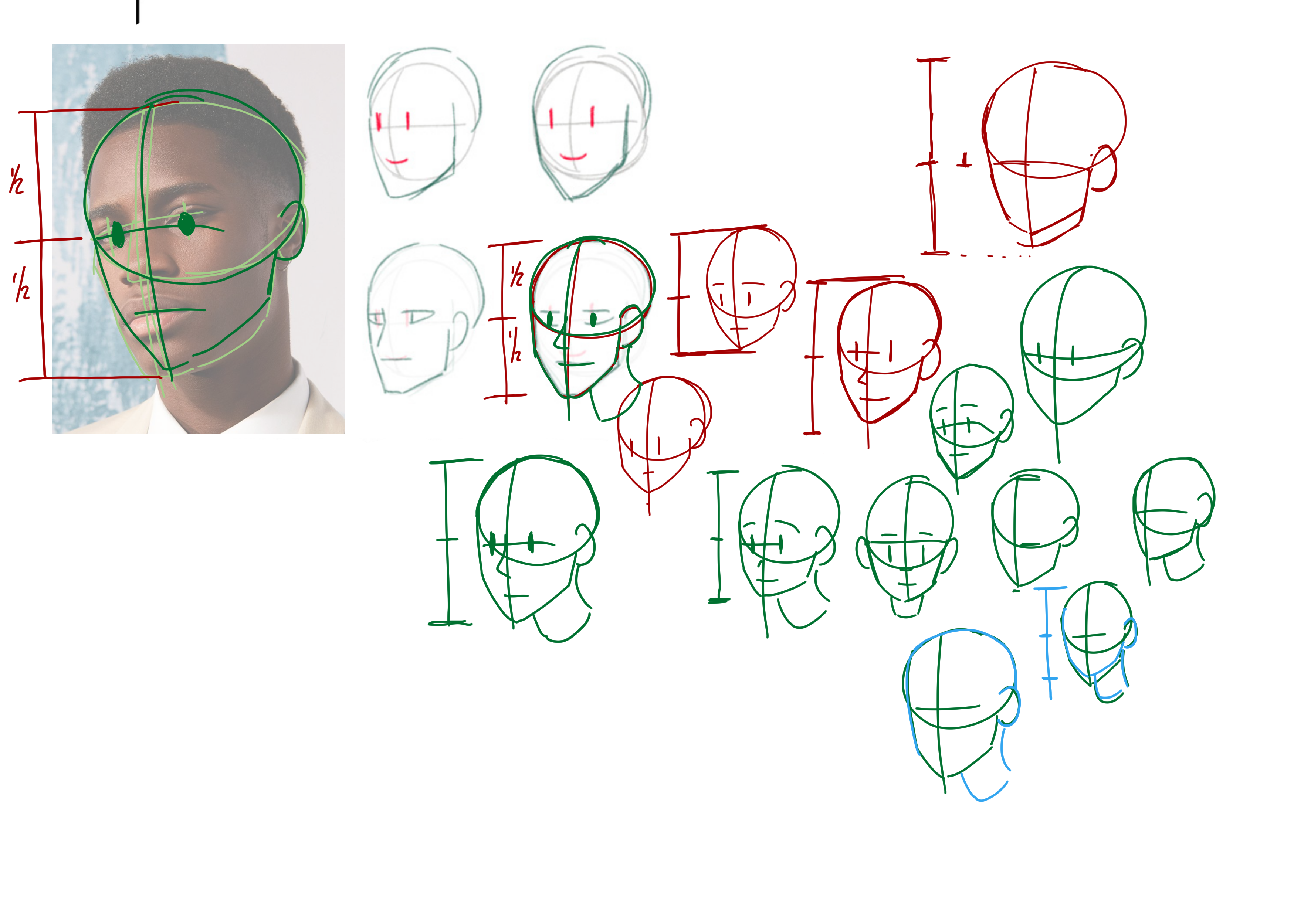 the image shows a collection of sketches focusing on head construction and facial proportions. the topleft corner features a photo of a person's head overlaid with green and red lines indicating key proportions, which are further broken down and demonstrated in multiple variations throughout the rest of the image.  numerous head sketches are presented in different angles and stages of construction, utilizing simple geometric shapes as a base. the image seems to be a visual guide or practice sheet demonstrating various approaches to drawing a head accurately.  measurements (1/2 h) are indicated on several of the sketches, highlighting the importance of proportions.  the style is loose and illustrative, typical of a drawing lesson or study rather than finished artwork.