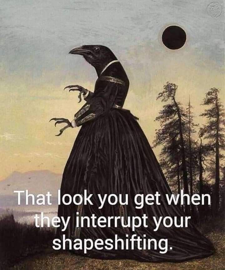 a humorous image depicts a crow with a humanlike body wearing a black victorianera dress in a landscape. the text "that look you get when they interrupt your shapeshifting" is overlaid on the image. the background features mountains, trees, and a dark sun or eclipse. the image is likely a meme combining a classical painting style with a modern humorous caption.