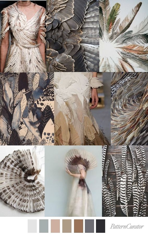the image is a mood board with different pictures and a color palette.  the mood board is inspired by feathers.  each picture shows different examples of feathers in different textures and shapes.  the color palette has 8 colors.  the colors are white, grey, light brown, brown, dark brown, black.