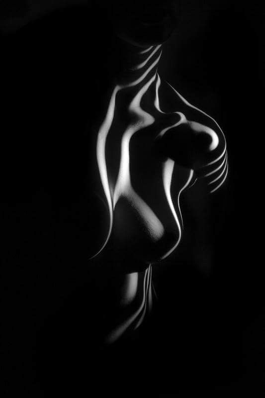 the image is a striking black and white photograph of a female torso.  the subject is posed in a way that emphasizes the curves of the body.  light is used dramatically to create strong contrasts and highlights, emphasizing the texture and shape of the skin.  stripes of light create a pattern across the body, adding an abstract element to the otherwise realistic portrayal.  the overall effect is sensual and mysterious, with a focus on form and shadow.  the dark background and the way the body is partially obscured adds to the sense of mystery and intimacy.