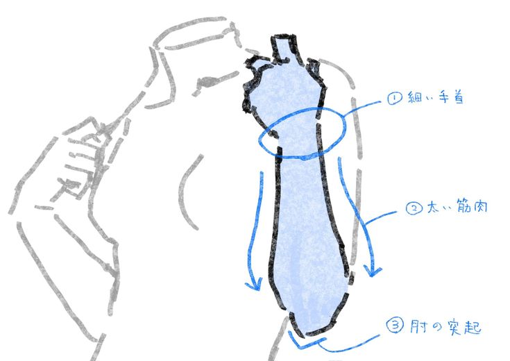 this image shows a sketch of a human arm with three areas labelled.  the areas are labelled with japanese characters and numbers.  the areas are numbered 1, 2, and 3, starting from the top.  number 1 is located near the shoulder joint and is labelled  "細、手首" which translates to "thin, wrist".  number 2 is located further down the arm and is labelled "太、前腕" which translates to "thick, forearm".  number 3 is located at the bottom of the arm and is labelled "肘の安定" which translates to "elbow stability".