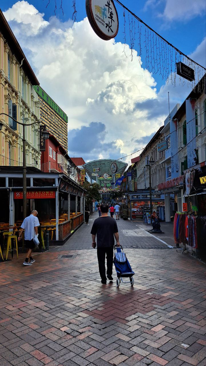 the image shows a vibrant street scene in singapore's chinatown. traditional shophouses line both sides of a brick paved street, with pedestrians walking amongst them. the sky is partially cloudy.  a person is seen pulling a small shopping cart. various signs, including one with chinese characters, are visible.  the overall atmosphere suggests a bustling, culturally rich, and touristfriendly area.