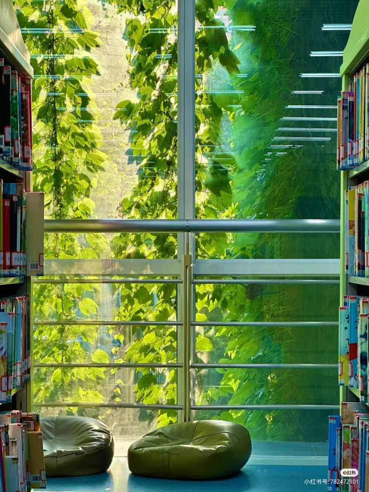 he image depicts a tranquil scene inside a library.  large windows showcase a vibrant wall of green foliage, creating a natural, calming atmosphere.  two olivegreen beanbag chairs sit near the window, inviting relaxation. bookshelves filled with books flank the window on both sides, adding to the library setting. sunlight filters through the leaves, illuminating the scene. the overall impression is one of serenity and a comfortable reading space.