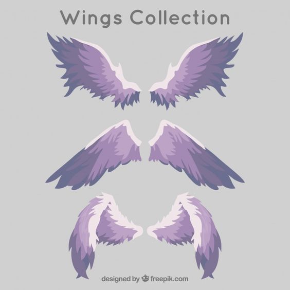 three pairs of purple feathered angel wings are shown against a gray background.  the text "wings collection" is shown above them in a serif font.  the designer's website url is shown below them. content: wingspeople: environment: lighting: perspective: kw: angel, wing, feather, purple, collection, set, mythical, flight, spiritual, elegant, graceful, fantasy, ethereal, heavenly, angelic, celestial, divine, supernatural, powerful, freedom, hope, inspiration, beauty, art, design, icon, symbol, logo, graphic, illustration, decoration, element, isolated, background, template, vintage, retro, romantic, feminine, soft, pastel, dreamy, light, dark, gradient, abstract, stylized, simple, modern