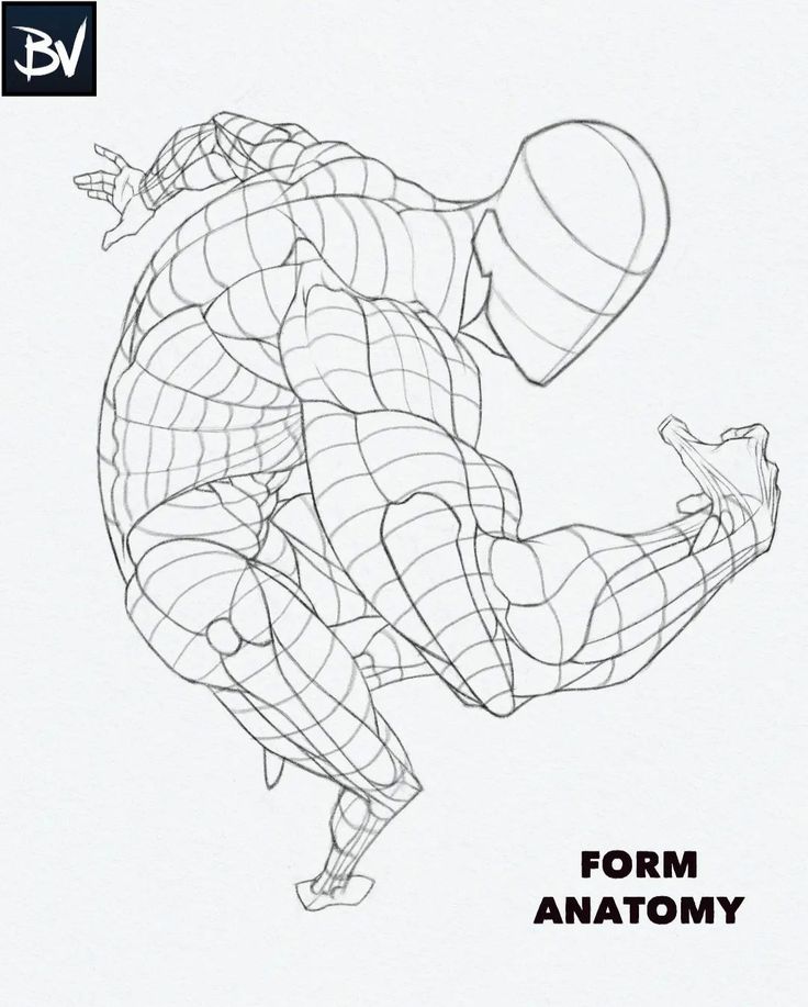 a line drawing of a male figure in a dynamic pose, emphasizing the underlying musculature and skeletal structure. the artist has used a gridlike pattern to show the form and anatomy of the figure, creating a detailed and anatomical representation. the pose is dynamic, suggesting action and movement, with the figure's body contorted in an energetic manner. the drawing is simple and clear, focusing on the underlying form and structure of the human body, making it a great learning tool for aspiring artists.