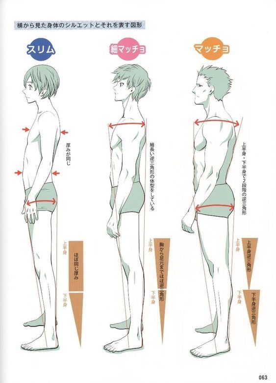the image is a tutorial on how to draw different male body types in anime/manga style. it shows three figures: slim, lean muscular, and muscular.  each figure is accompanied by a diagram that illustrates the proportions and shapes of the body, highlighting the differences in torso, shoulder, hip, and leg widths.  japanese text is present to explain the diagrams. the drawing style is clean and simple, making it easy to follow.