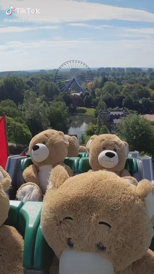 a closeup shot of a teddy bear with its head resting on another teddy bear's shoulder while riding a rollercoaster. the teddy bears are in an amusement park, and the background features a ferris wheel and a large green space. the image captures the carefree joy of an amusement park.