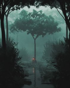a lone figure stands beneath a towering tree in a misty forest. the ground is dark and damp, and the air is thick with fog.  a body of water stretches out from the base of the tree, reflecting the figure and the surrounding trees.  the overall mood of the image is one of mystery and tranquility.