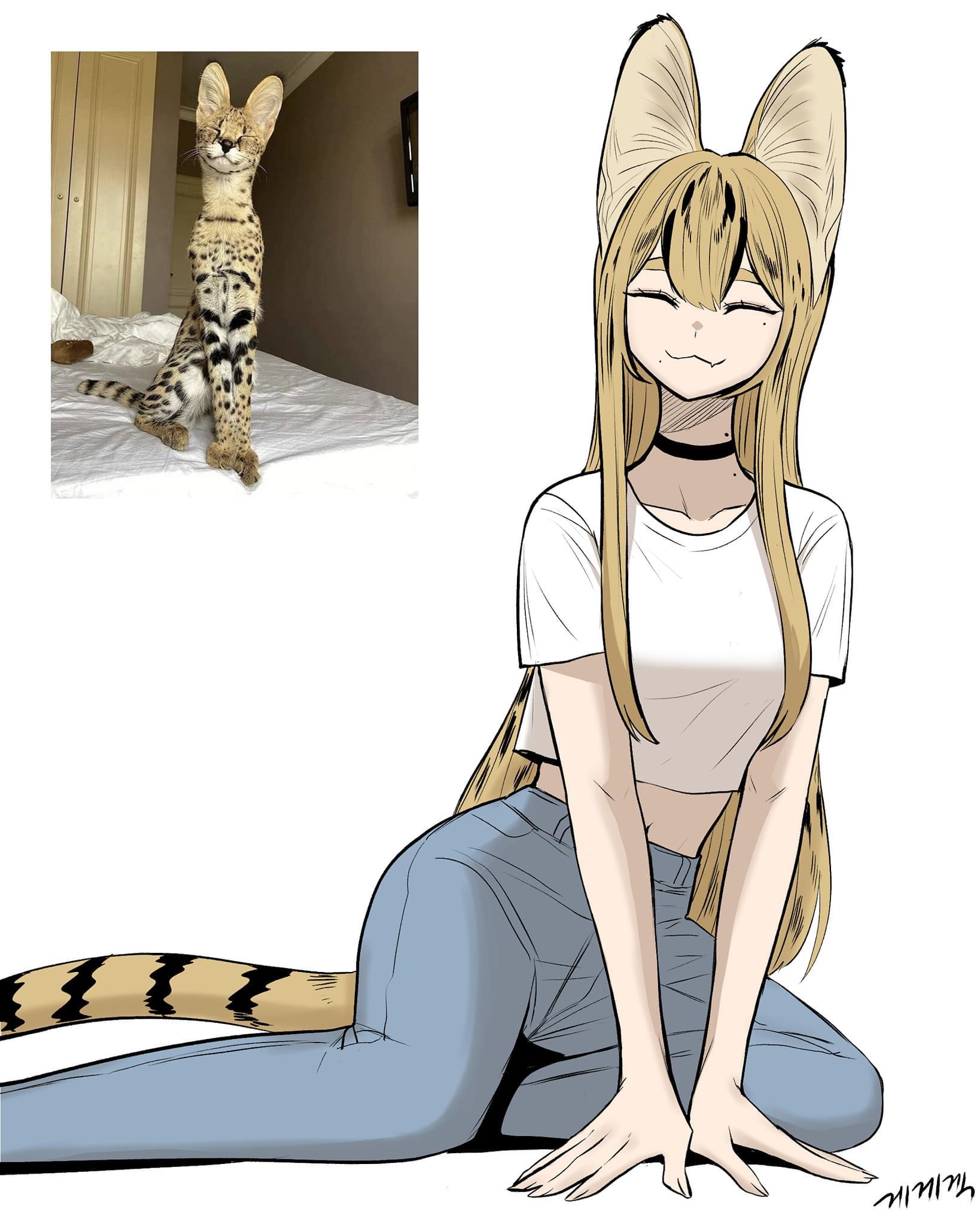 he image is a split image. on the left is a photograph of a serval cat sitting on a bed. on the right is a digital drawing of an animestyle girl with serval cat ears and a tail, sitting in a similar pose to the cat in the photograph.  the girl has long blonde hair, is wearing a white crop top and blue jeans, and has a gentle, smiling expression. the style of the drawing is detailed and clean, with realistic shading and coloring.  the artist's signature is visible in the bottom right corner of the drawing.  the overall impression is one of a successful anthropomorphic transformation of the serval cat into a cute anime character.