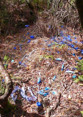 a closeup shot reveals a scattering of blue plastic debris across a forest floor. the litter is composed of various small plastic items, seemingly discarded randomly amidst fallen leaves, twigs, and branches. the forest floor is predominantly brown and earthytoned, with sparse patches of green vegetation peeking through. the overall impression is one of environmental pollution, with the blue plastic objects standing out starkly against the natural backdrop. the image highlights the detrimental impact of litter on natural environments.