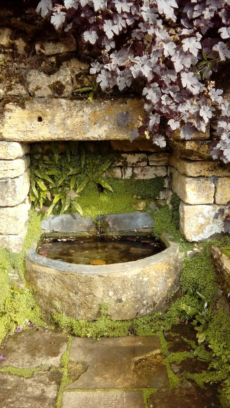 the image shows a stone fountain set within a stone structure with various plants and moss. the fountain is positioned beneath a stone beam and is filled with water. the surroundings feature green ferns and moss, adding to the natural setting. above the fountain, a climbing plant with dark leaves cascades over the wall. below the fountain is a paved pathway made of flat stones.