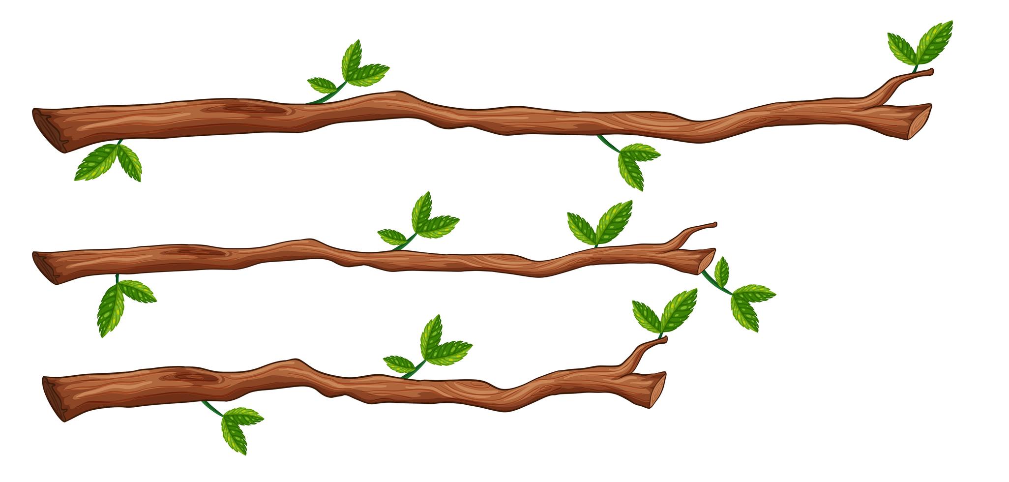 the image shows three cartoon tree branches with green leaves. the branches are brown and have a rough texture. they are arranged horizontally across the frame.