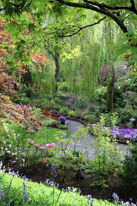the image shows a lush garden with a winding pathway leading to a wooden bench. the garden is filled with various plants, flowers, and trees, including a prominent weeping willow. the pathway is lined with flowers, and there are lamps along the path. the scene is full of greenery and foliage, creating a natural and serene outdoor setting.
