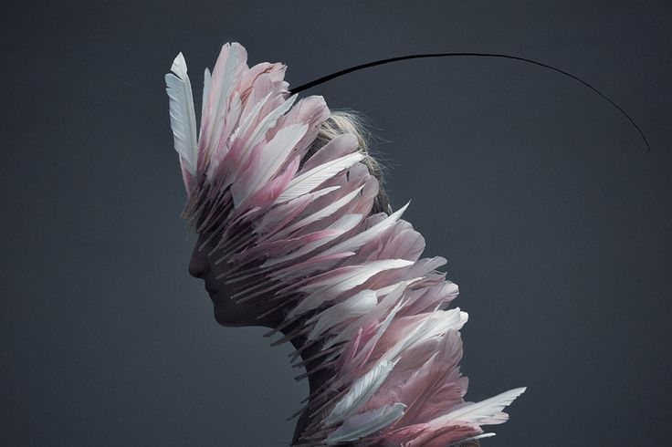 a woman wearing a beautiful headpiece made of feathers in pink and white is the focal point of this artistic portrait. the feathers appear to have an abstract, almost ethereal quality, adding a sense of elegance and beauty to the image. the image is shot against a dark background, which creates a sense of mystery and intrigue. this contemporary fashion piece is an impressive example of avantgarde style.