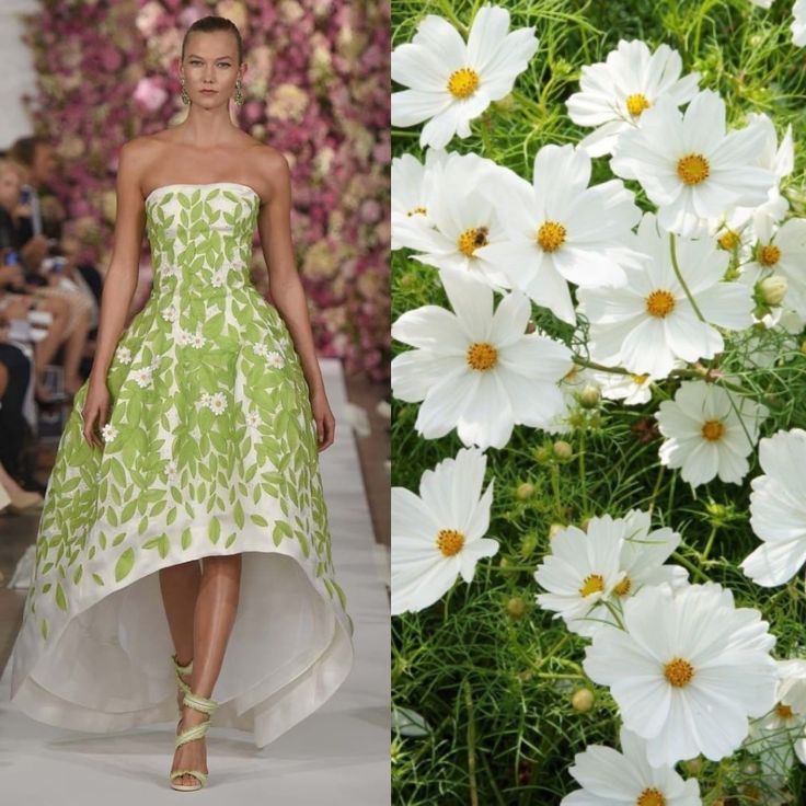 a fashion model poses on the runway wearing a high fashion dress. the dress is white and green with a floral design, and the skirt is highlow, meaning it is longer in the back and shorter in the front. the model has long, dark hair and is wearing her hair down. the background is a blur of pink and white flowers, and there are many white flowers, specifically cosmos, on the right side of the image.