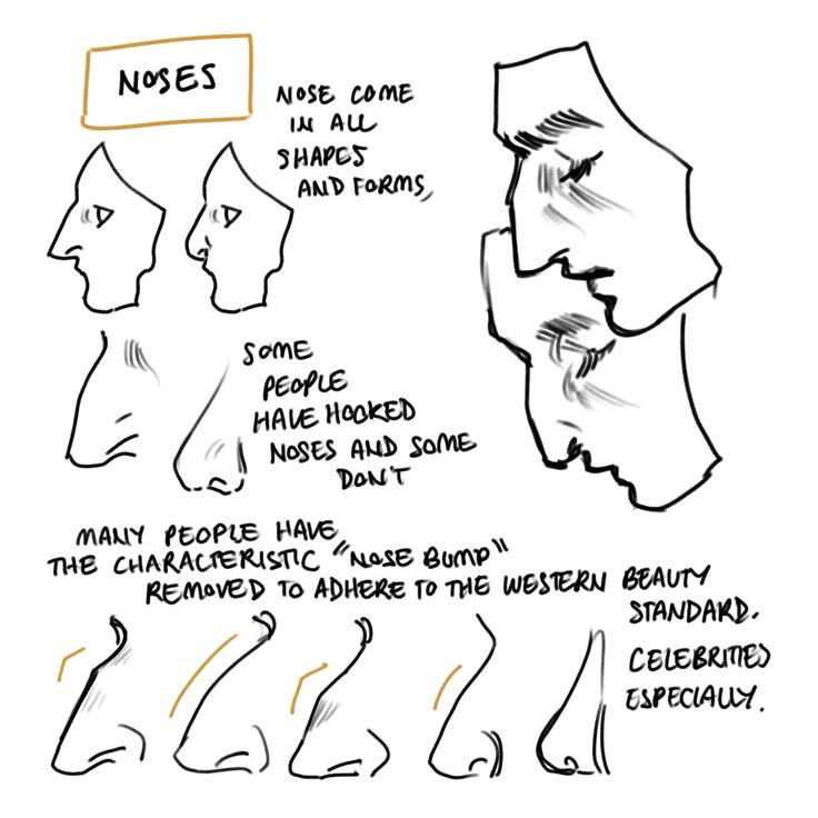 the image is an illustration about different types of noses. it mentions that noses come in all shapes and forms, and that some people have hooked noses while others don't. it also mentions that many people have the characteristic "nose bump" removed to adhere to the western beauty standard, especially celebrities. the illustration includes several drawings of different nose shapes.