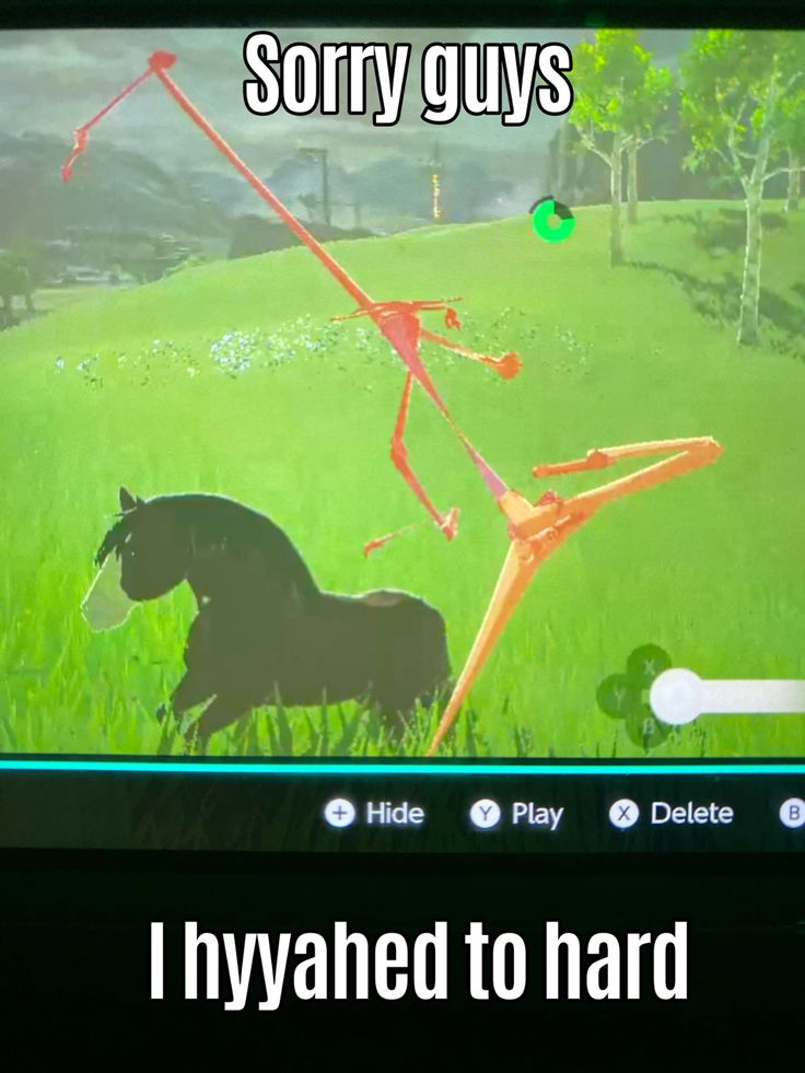 a still frame from a video game, legend of zelda: breath of the wild, in which the player's horse is bucking wildly and they have fallen off. the text "sorry guys" is at the top and "i hyyahed to hard" is at the bottom of the image. it is a meme format that refers to a funny moment in the game.