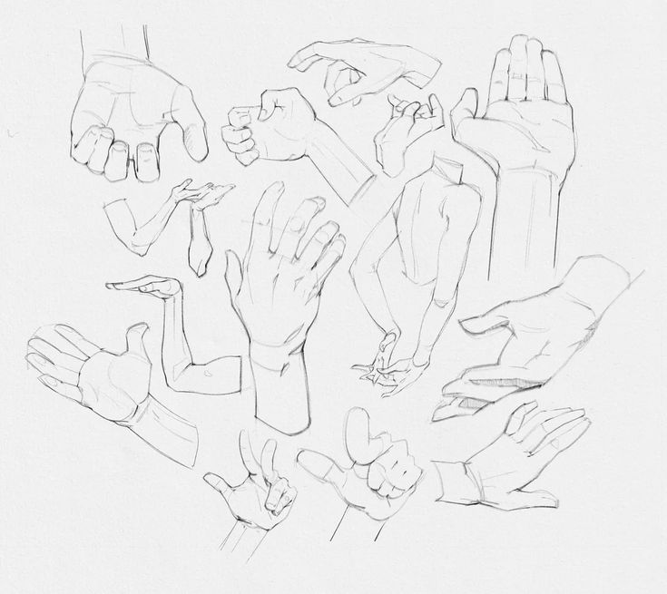 the image is a collection of pencil sketches of hands in various poses and angles. the sketches include fists, open palms, hands with arms, and different hand gestures. the overall style is illustrative and focuses on anatomical accuracy.